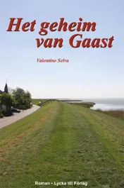 Omslag van Het geheim van Gaast