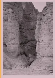 Omslag van Watering My Horse by a Spring at the Foot of the Long Wall