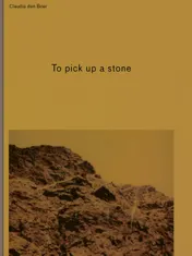 Omslag van To pick up a stone