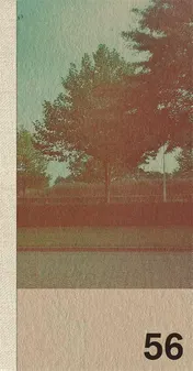 Omslag van Eindhovenseweg 56