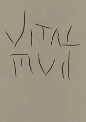 Omslag van Vital Mud