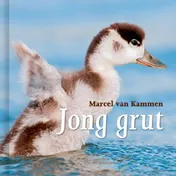 Omslag van Jong grut