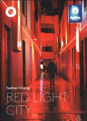 Omslag van Red Light City