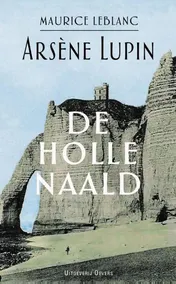 Omslag van De holle naald
