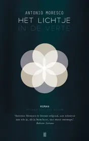 Omslag van Het lichtje in de verte