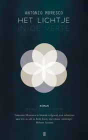 Omslag van Het lichtje in de verte