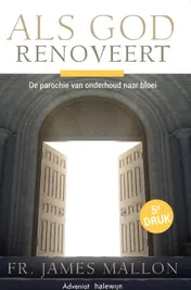 Omslag van Als God renoveert