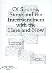 Omslag van Of sponge, stone and the intertwinement with the here and now