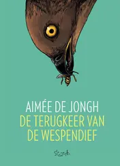 Omslag van De terugkeer van de wespendief