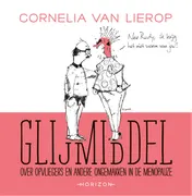 Omslag van Glijmiddel