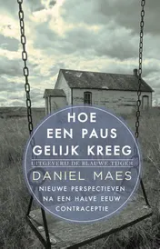 Omslag van Hoe een paus gelijk kreeg