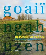 Omslag van Goaiïngahuzen