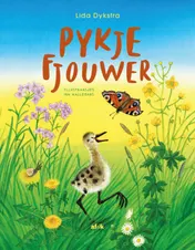 Omslag van Pykje fjouwer