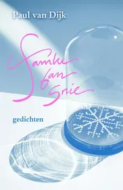 Omslag van Famke fan snie