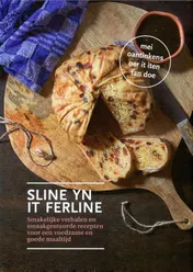 Omslag van Sline yn it ferline