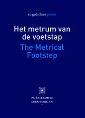 Omslag van Het metrum van de voetstap