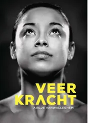 Omslag van Veerkracht