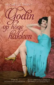 Omslag van Godin op hoge hakken