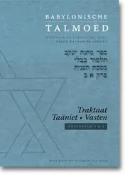 Omslag van Babylonische Talmoed - Traktaat Taäniet (Vasten)