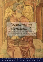 Omslag van Steenrots en struikelblok