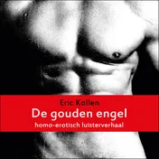 Omslag van De gouden engel