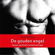 Omslag van De gouden engel