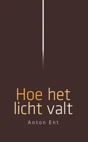 Omslag van Hoe het licht valt