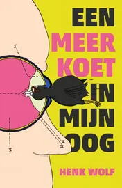 Omslag van Een meerkoet in mijn oog