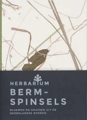 Omslag van Bermspinsels