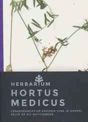 Omslag van Hortus medicus