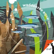 Omslag van Waddenzeeaquarium (set van 5)