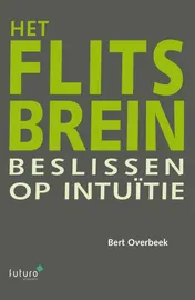 Omslag van Het flitsbrein
