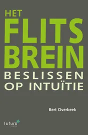 Omslag van Het flitsbrein