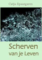 Omslag van Scherven van je leven