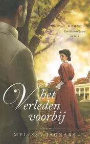 Omslag van Het verleden voorbij