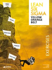Omslag van Lean Six Sigma Yellow & Orange Belt