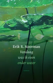 Omslag van Vandaag was ik even onder water