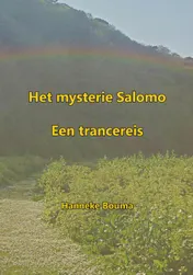 Omslag van Het mysterie Salomo