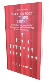 Omslag van Wat voor soort leider ben IK?