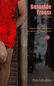 Omslag van Betaalde troost