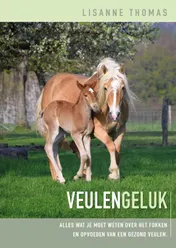 Omslag van Veulen Geluk
