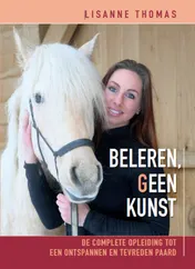 Omslag van Beleren, geen kunst