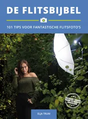 Omslag van De Flitsbijbel