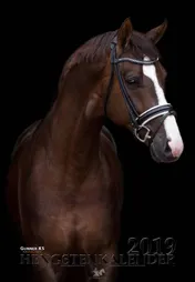 Omslag van 2019