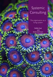Omslag van Systemic consulting
