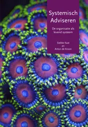 Omslag van Systemisch adviseren