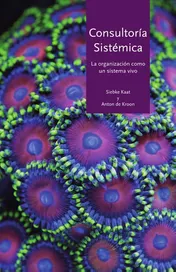 Omslag van Consultoria Sistemica