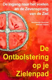 Omslag van De ontbolstering op je zielenpad