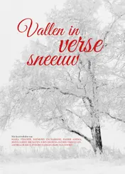 Omslag van Vallen in verse sneeuw