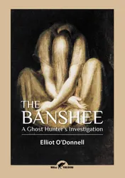Omslag van The Banshee